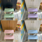 Custom Kids Bathroom Step Stool 2-step