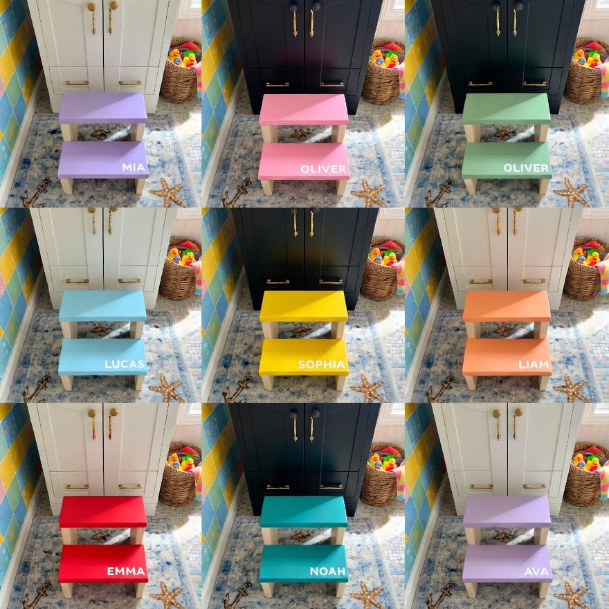 Custom Kids Bathroom Step Stool 2-step